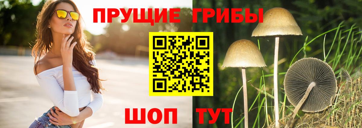 Псилоцибиновые грибы GOLDEN TEACHER  Вход с VPN  Абинск  Галлюциногенные грибы Psilocybe 