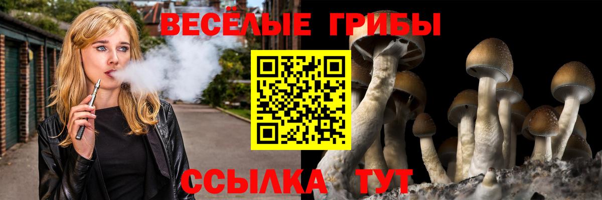 Псилоцибиновые грибы прущие грибы Абинск